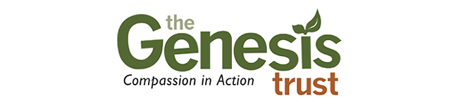 Genesis Furniture Project